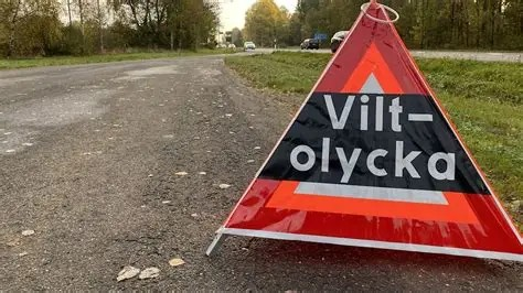 Projekt : Reglera löshundsjakten