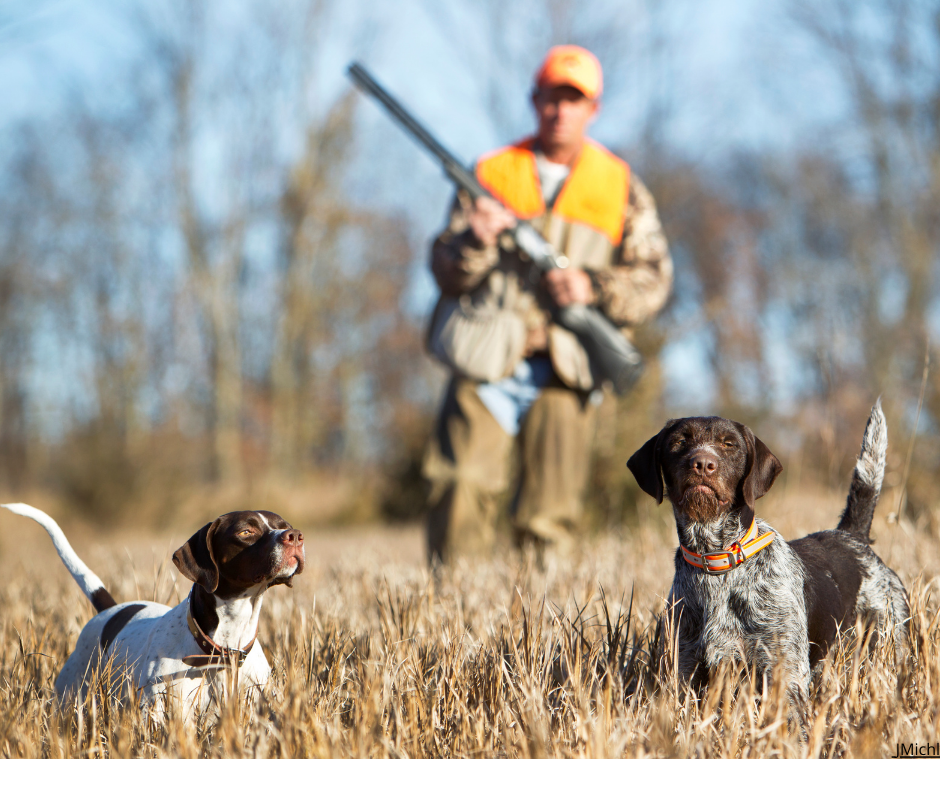 Stödja utvecklingen av god jaktetik, utbildning, policy och opinionsbildning
