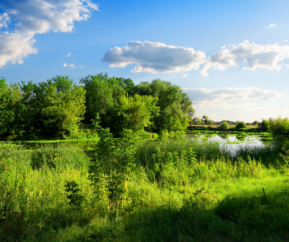 Stöd bevarande i stället för exploatering
