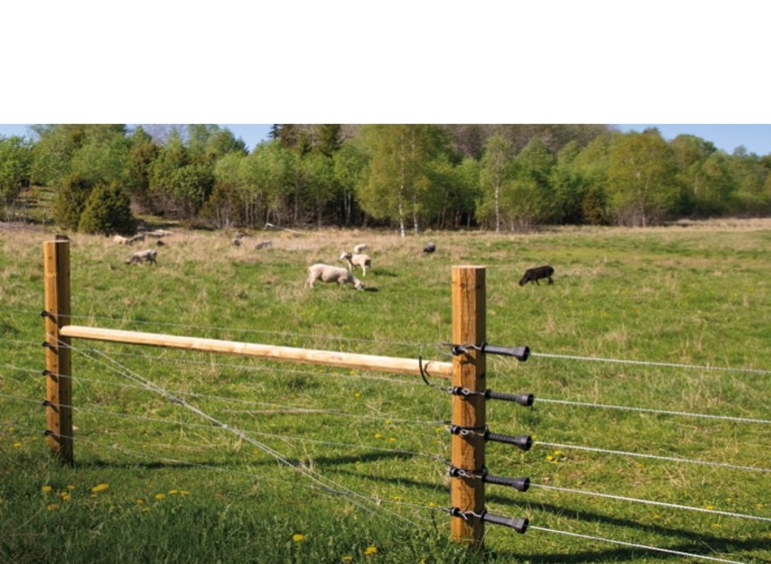 Projekt, få Sverige att söka EU stöd för samexisten med rovdjur