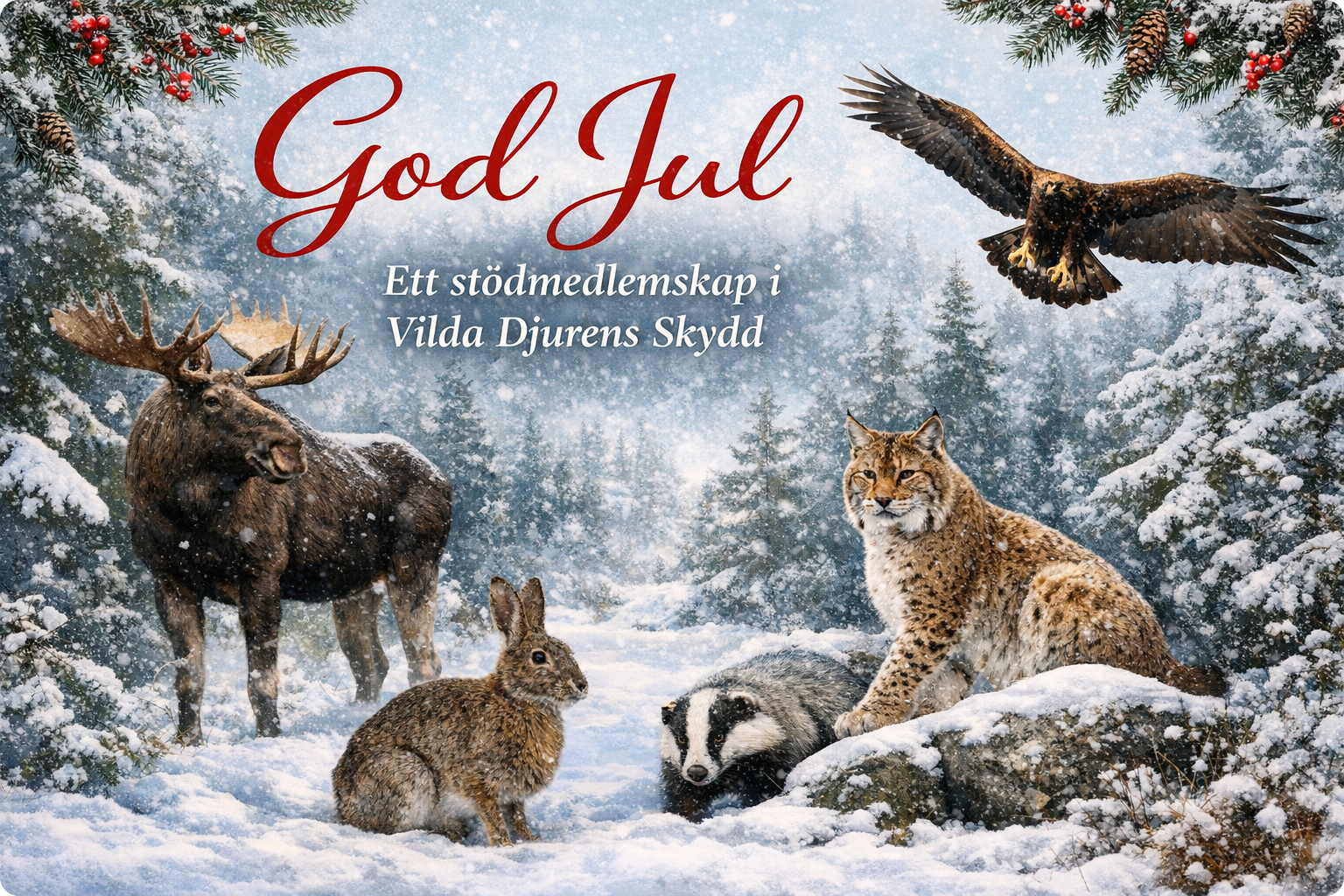 Stödmedlemskap i Vilda Djurens Skydd som julklapp