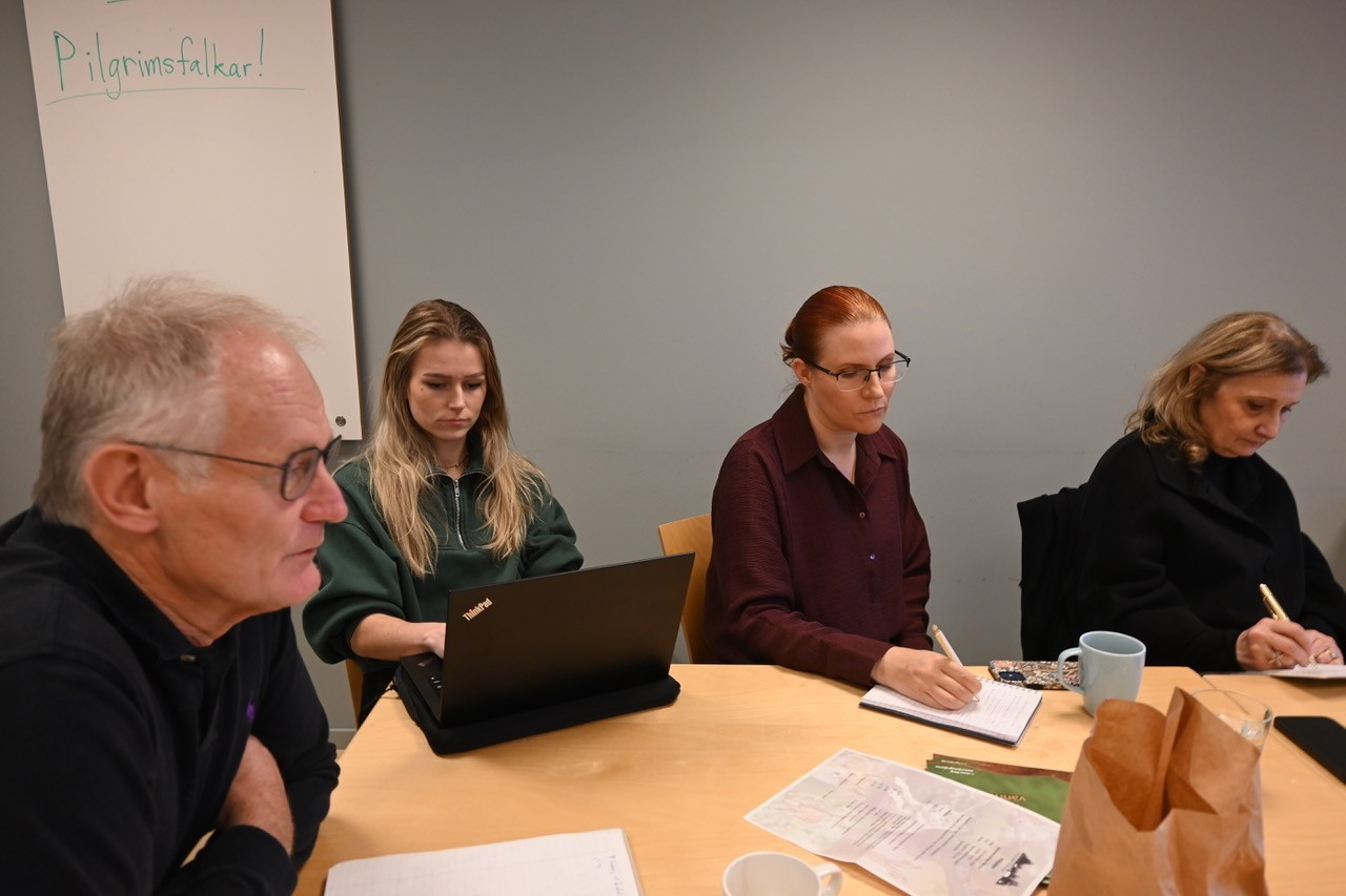 Nyhet: Starkt nätverksmöte – gemensamma krafttag för Sveriges vilda djur