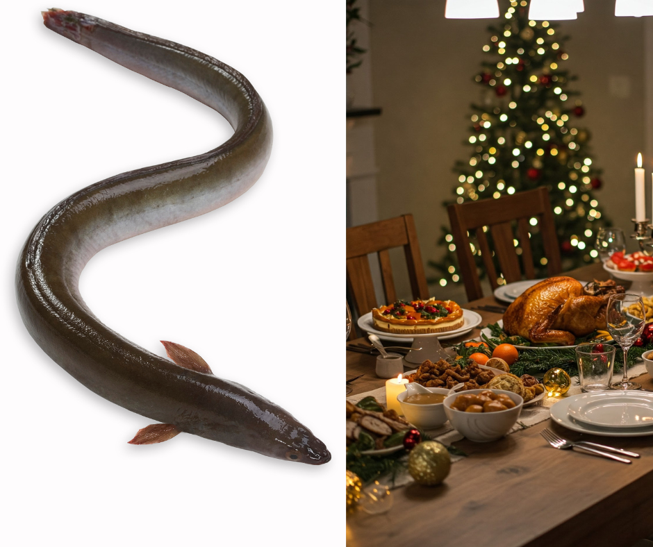 Kulturen får aldrig väga tyngre än ålens överlevnad